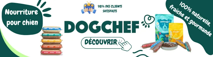 Banniere dog chef