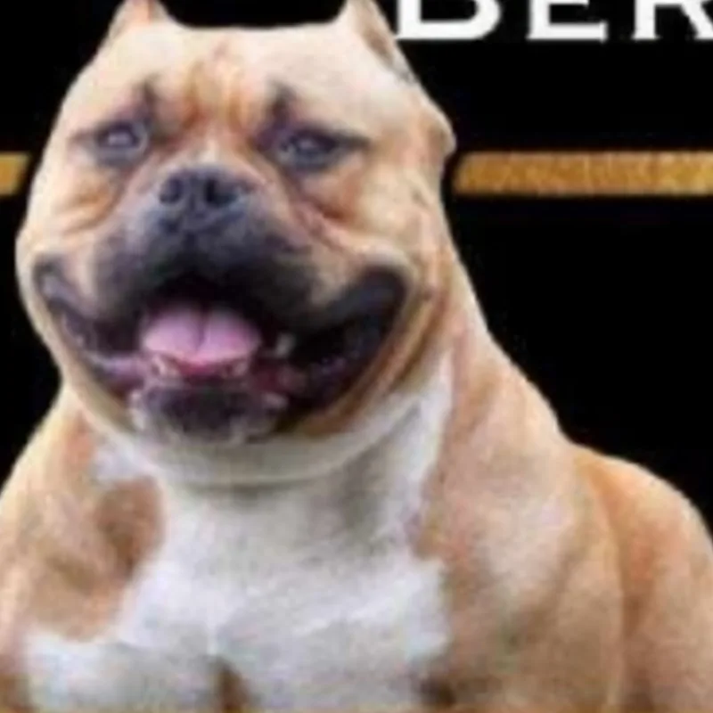 Muscletone Tyson