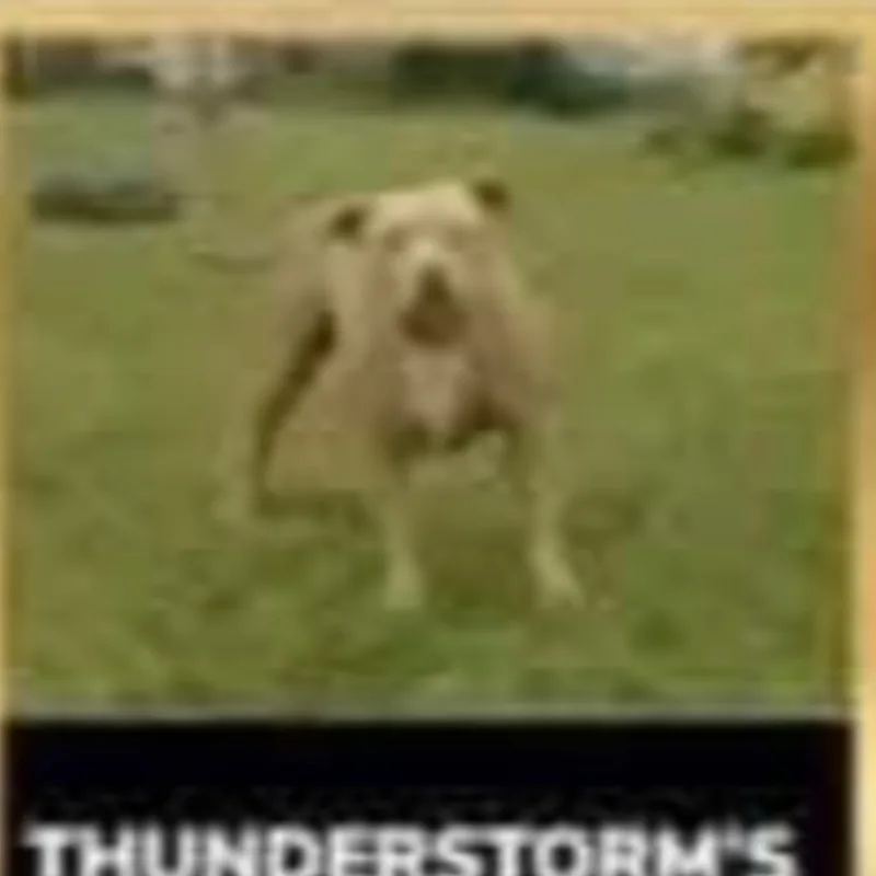 Thunderstorm's Ruby