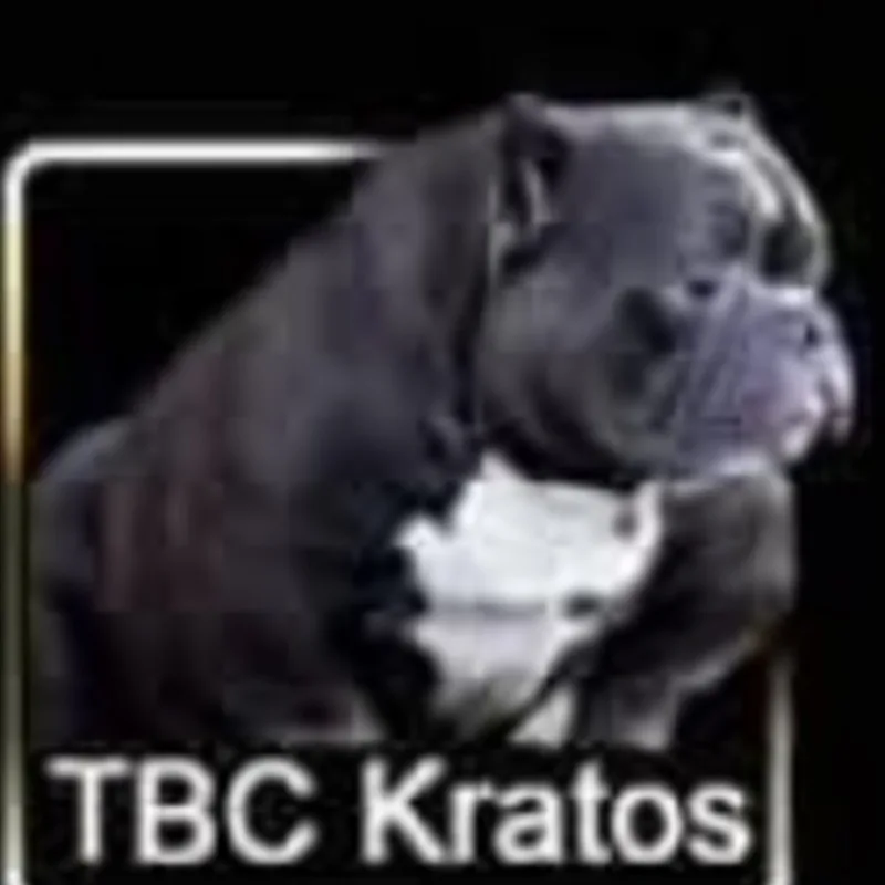 The Bully Camp Line Kratos