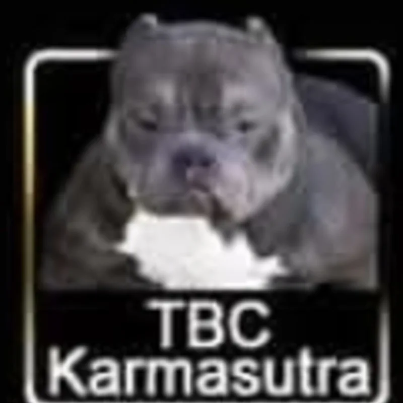 TheBullyCampLine Karmasutra